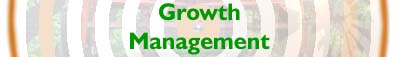 Growth Management